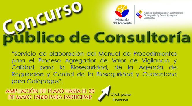 invita concurso