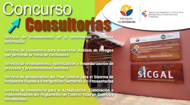 consultorias final