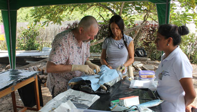 Esterilizacion isabela