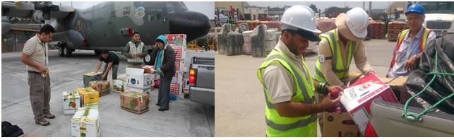 inspeccion carga