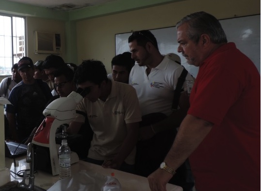 taller parasitos